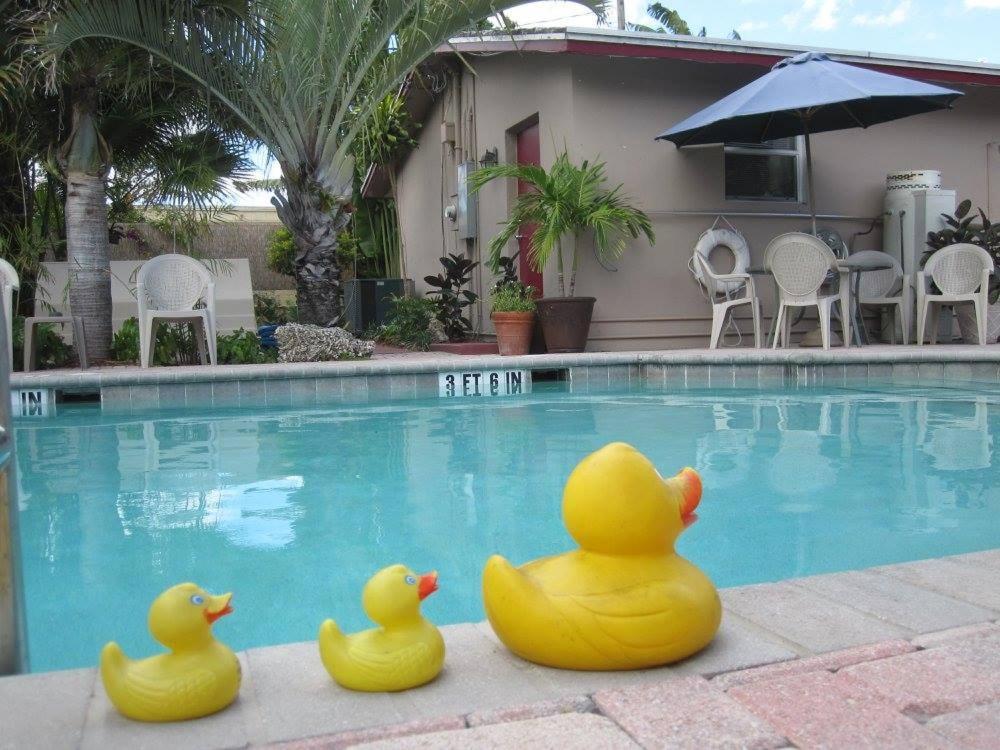 Inn Leather Guest House-Gay Male Only Fort Lauderdale Exteriör bild