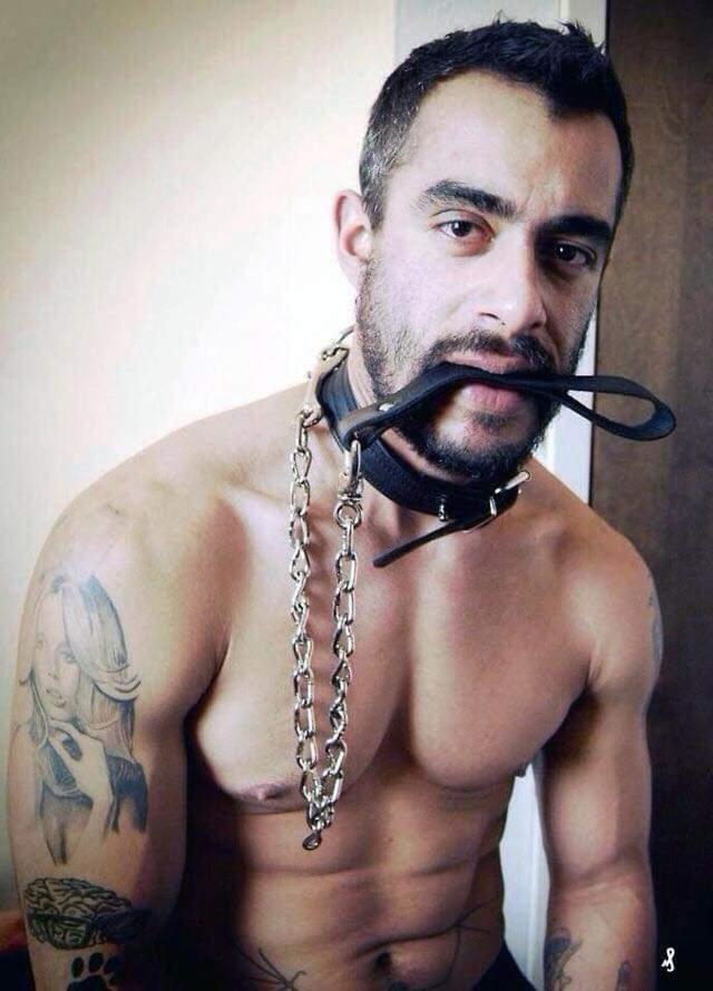 Inn Leather Guest House-Gay Male Only Fort Lauderdale Exteriör bild
